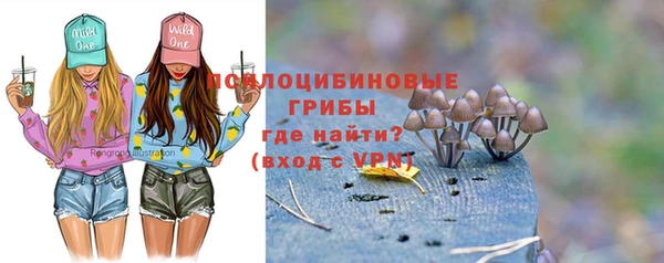 дмт Богородск