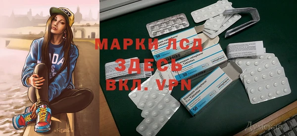 дживик Бородино