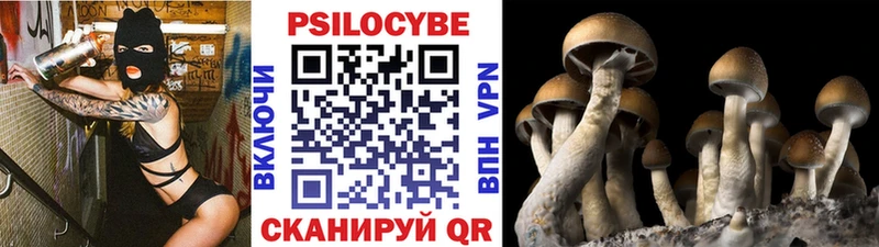MEGA рабочий сайт  где найти наркотики  Нелидово  Галлюциногенные грибы Cubensis 